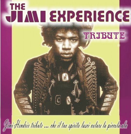 Jimi Hendrix Tribute Live